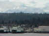 33_ferry_Bainbridge.JPG (30627 bytes)