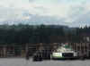 34_ferry_Bainbridge.JPG (32434 bytes)