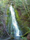 82_Madison_Creek_Falls.JPG (86678 bytes)
