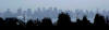 196_Vancouver_skyline.JPG (11277 bytes)