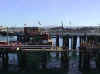 Monterey_wharf4.jpg (26446 bytes)