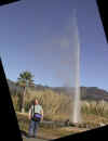 OldFaithful_Steve2.jpg (14164 bytes)