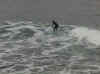 SantaCruz_surf2.jpg (24245 bytes)