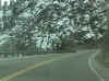 Sierra_road.jpg (38122 bytes)