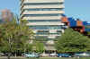 downtown_lines.JPG (51340 bytes)