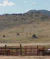 Rockies_foot_hills.JPG (41147 bytes)