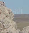 wind_farm2.JPG (23239 bytes)