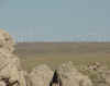 wind_farm.JPG (29014 bytes)