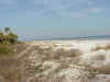 Hilton_Head_beach.JPG (55488 bytes)