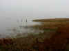 Charleston_foggy_waterfront.JPG (37789 bytes)