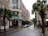 Charleston_street.JPG (76970 bytes)