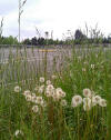 may_2013_09.jpg (2264381 bytes)