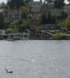 Lake_Union_duck.JPG (53262 bytes)