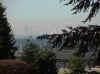 Seattle_Olympic_Mts.JPG (42323 bytes)