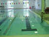 pool2.jpg (59785 bytes)