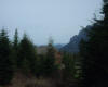 april_2009_021.JPG (279974 bytes)