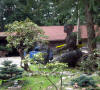 april_2009_026.JPG (440011 bytes)
