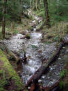 april_2009_030.JPG (588692 bytes)