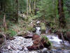 april_2009_032.JPG (583751 bytes)