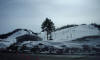 april_2009_049.JPG (244945 bytes)