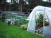 farm_chores_october_2009_17.JPG (541564 bytes)