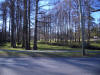 day2_18.JPG (539816 bytes)