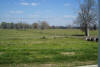 day05_083.JPG (180120 bytes)