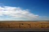 day11_006.JPG (170597 bytes)