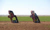 day11_017 (1).JPG (202726 bytes)