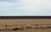 day11_083.JPG (217057 bytes)