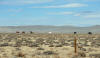 day13_095.JPG (373139 bytes)