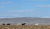 day13_096.JPG (171308 bytes)