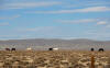 day13_097.JPG (326660 bytes)