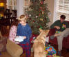 christmas_nc_2007_106.JPG (386431 bytes)