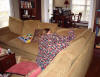 christmas_nc_2007_111.JPG (497238 bytes)