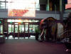 January_2011_001.JPG (360056 bytes)
