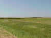 Minn_farmland.JPG (48190 bytes)
