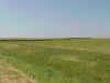 Minn_farmland.JPG (48190 bytes)