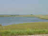 Minn_lake.JPG (46094 bytes)